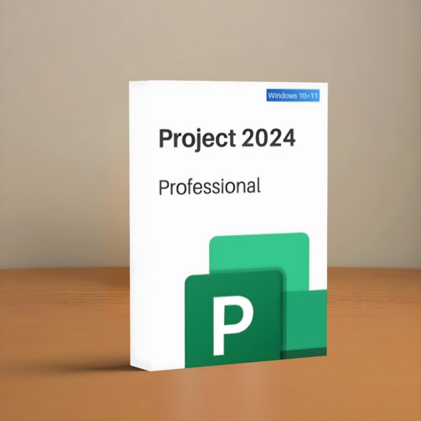 Project 2024 Professional