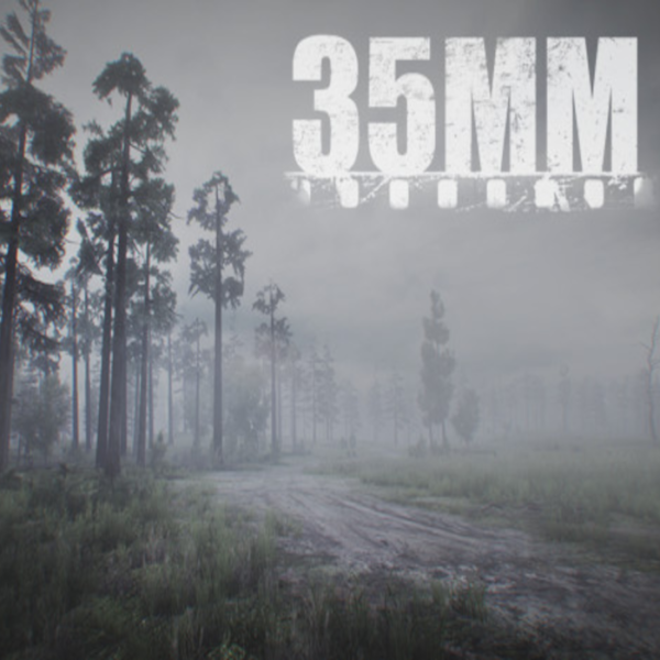 35MM PC Steam CD Key