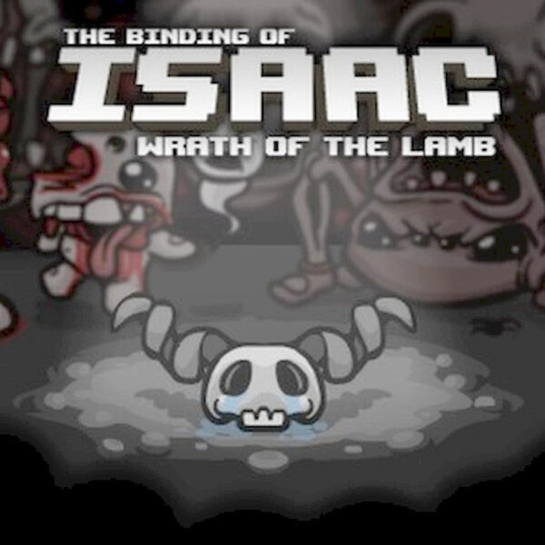 Binding of Isaac - Wrath of the Lamb DLC PC Steam Gift