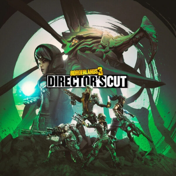 Borderlands 3 - Director's Cut DLC PC Steam CD Key