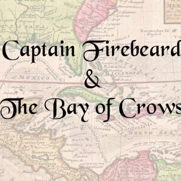 Captain Firebeard and the Bay of Crows Steam CD Key