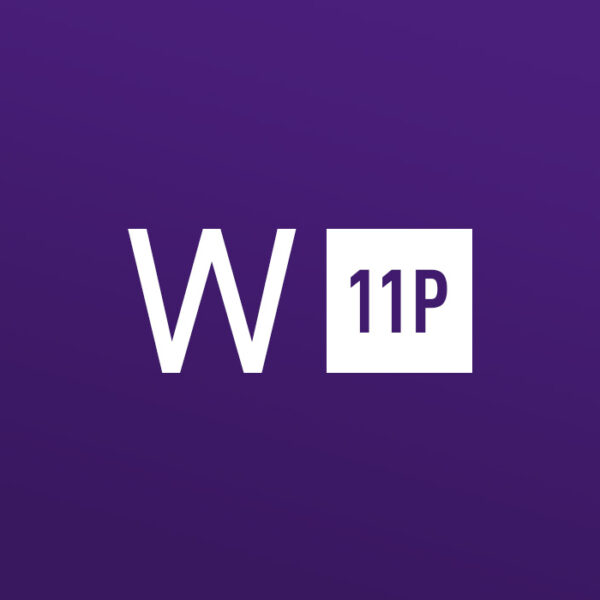 Windows 11 Professional OEM Key