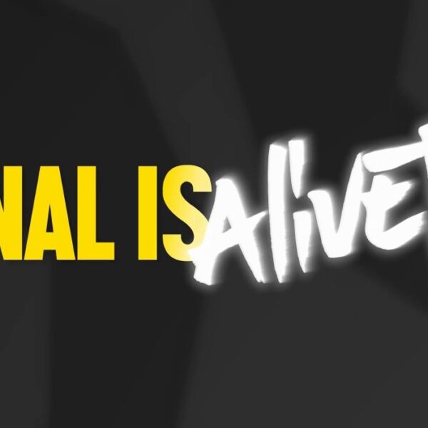 NAL Is Alive Steam CD Key