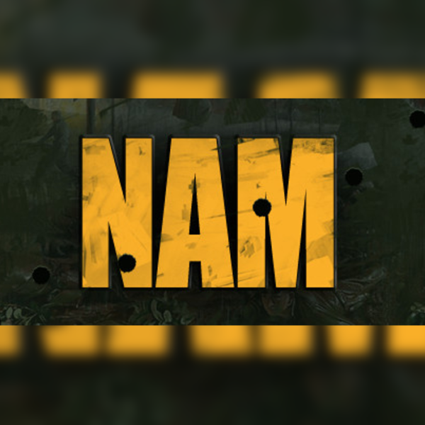 Nam PC Steam CD Key