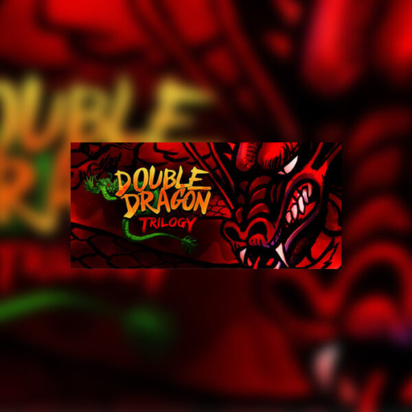 Double Dragon Trilogy Steam CD Key