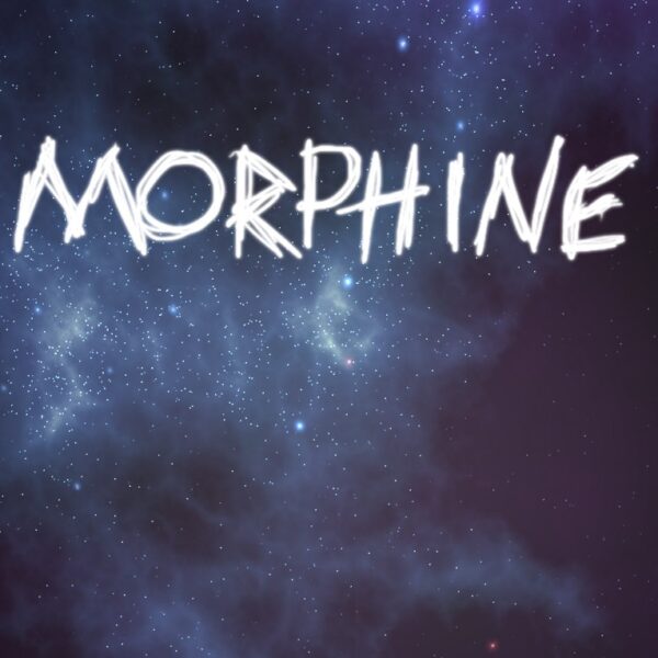Morphine PC Steam CD Key