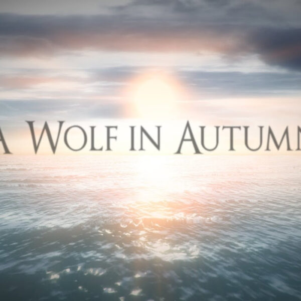 A Wolf in Autumn Steam CD Key