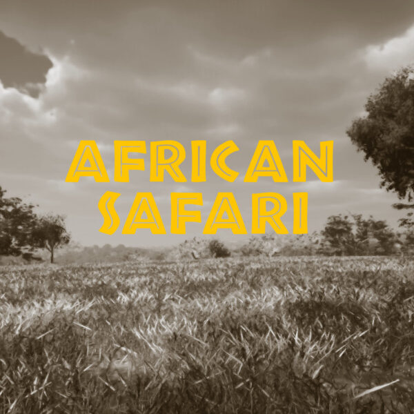 African Safari Steam CD Key