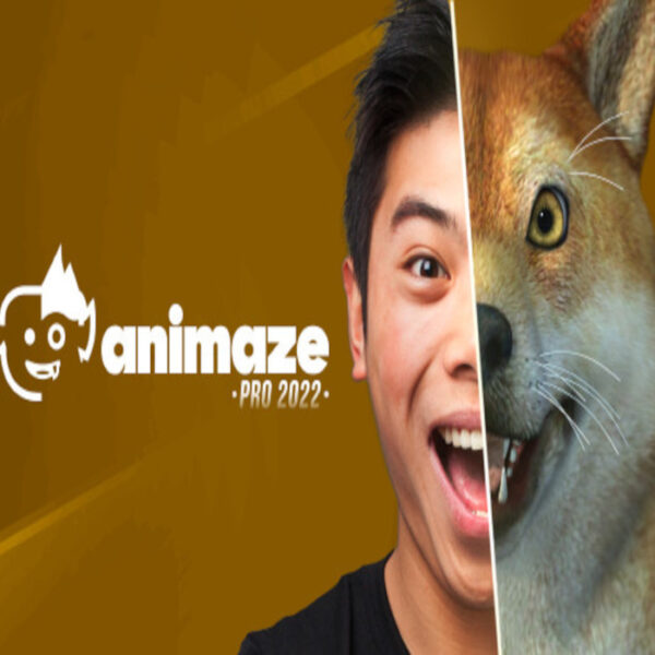 Animaze Pro 22 - Lifetime License DLC Steam CD Key