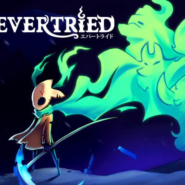 Evertried Steam CD Key