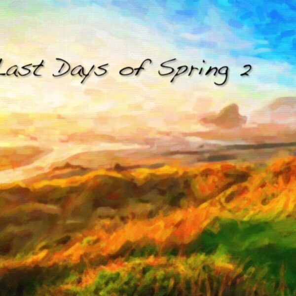 Last Days of Spring 2 Deluxe Edition PC Steam CD Key