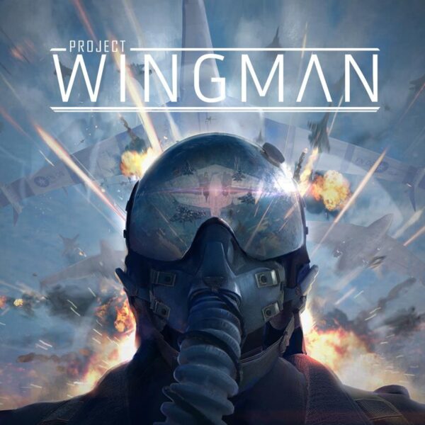 Project Wingman Steam CD Key