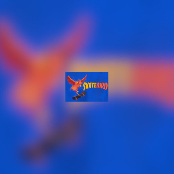 SkateBIRD PC Steam Altergift