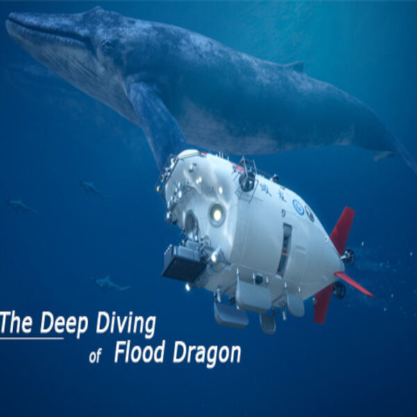 The Deep Diving of FloodDragon Steam CD Key
