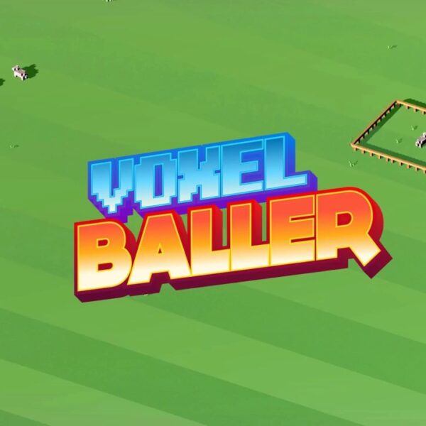 Voxel Baller Steam CD Key