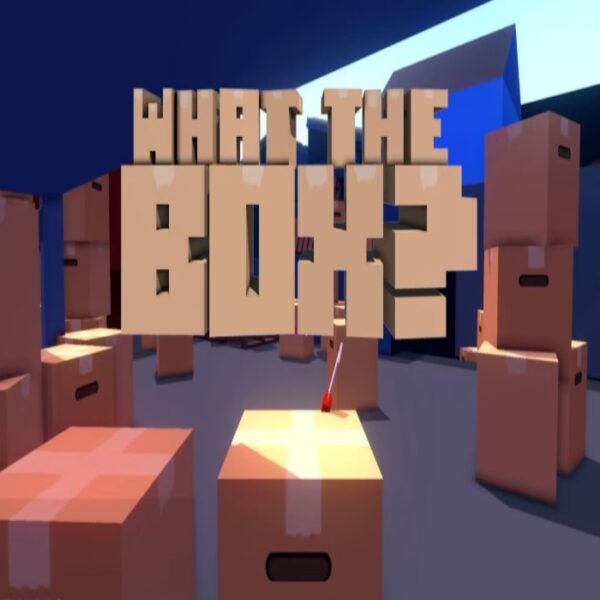 What The Box? Steam CD Key