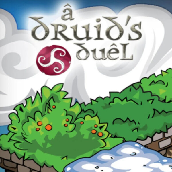 A Druid's Duel PC Steam CD Key