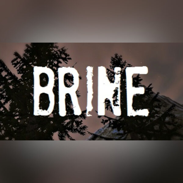 Brine Steam CD Key