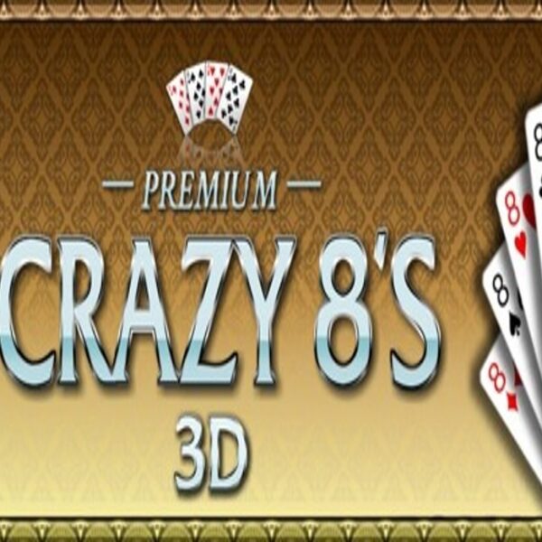 Crazy Eights 3D Premium Steam CD Key