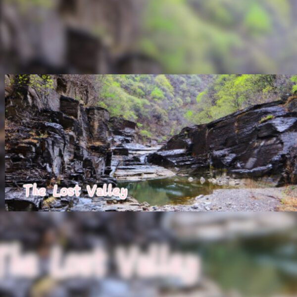 The Lost Valley (2021) Steam CD Key