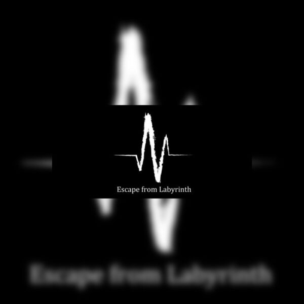 Escape from Labyrinth Steam CD Key