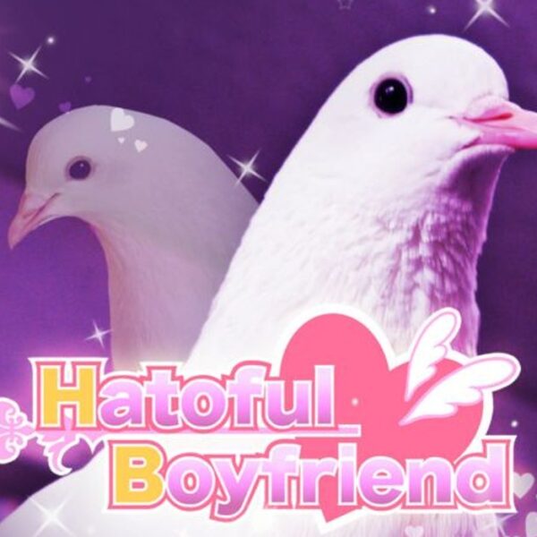 Hatoful Boyfriend Collector's Edition Steam CD Key