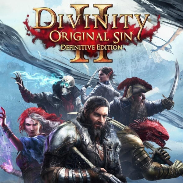 Divinity: Original Sin 2 Definitive Edition Steam CD Key