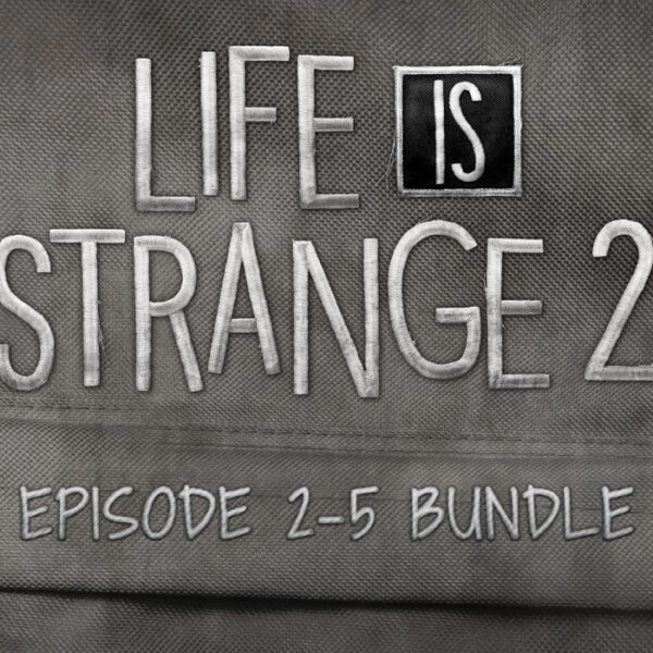 Life is Strange 2 - Episodes 2-5 bundle DLC Steam CD Key