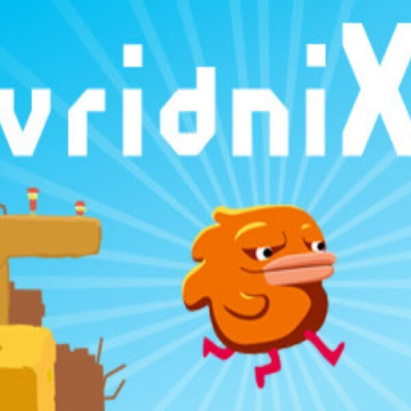 vridniX Steam CD Key