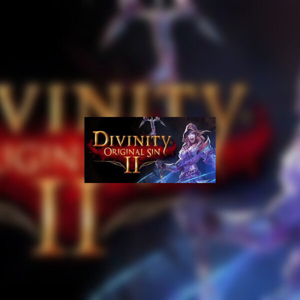 Divinity: Original Sin 2 - Divine Ascension DLC Steam Altergift