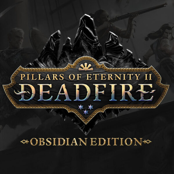 Pillars of Eternity II: Deadfire Obsidian Edition EU PC Steam Altergift