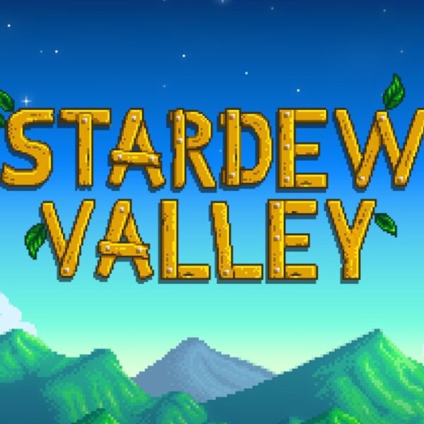 Stardew Valley US Nintendo Switch CD Key