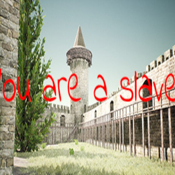 You Are A Slave! Steam CD Key