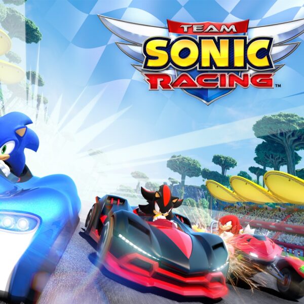 Team Sonic Racing Steam CD Key