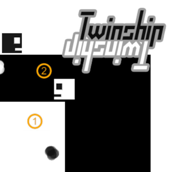 Twinship Steam CD Key