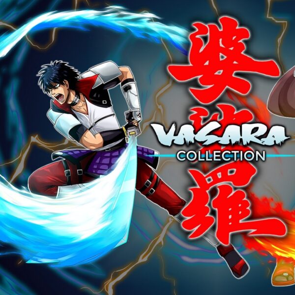 VASARA Collection PC Steam CD Key