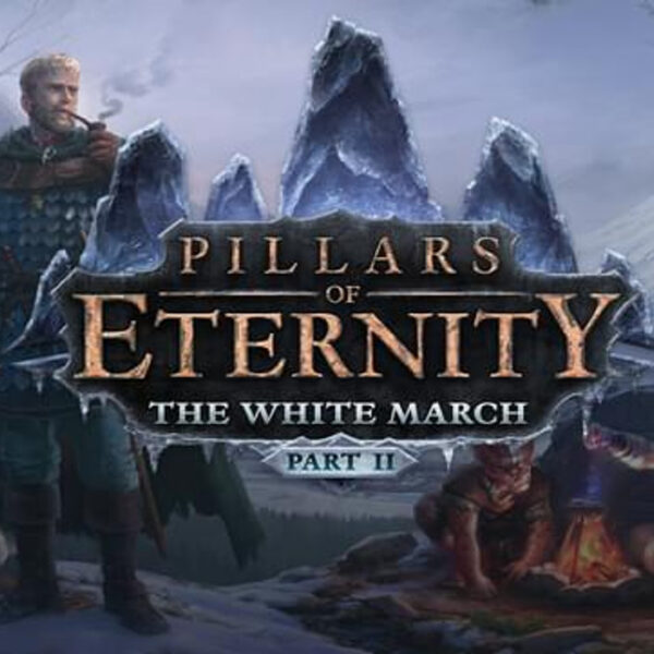 Pillars of Eternity - The White March Part II DLC RU VPN Activated Steam CD Key