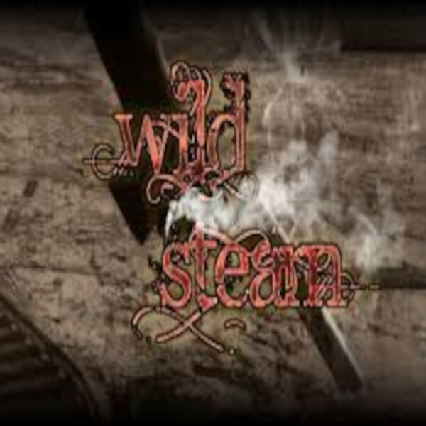 RPG Maker VX Ace - Wild Steam Resource Pack DLC Steam CD Key
