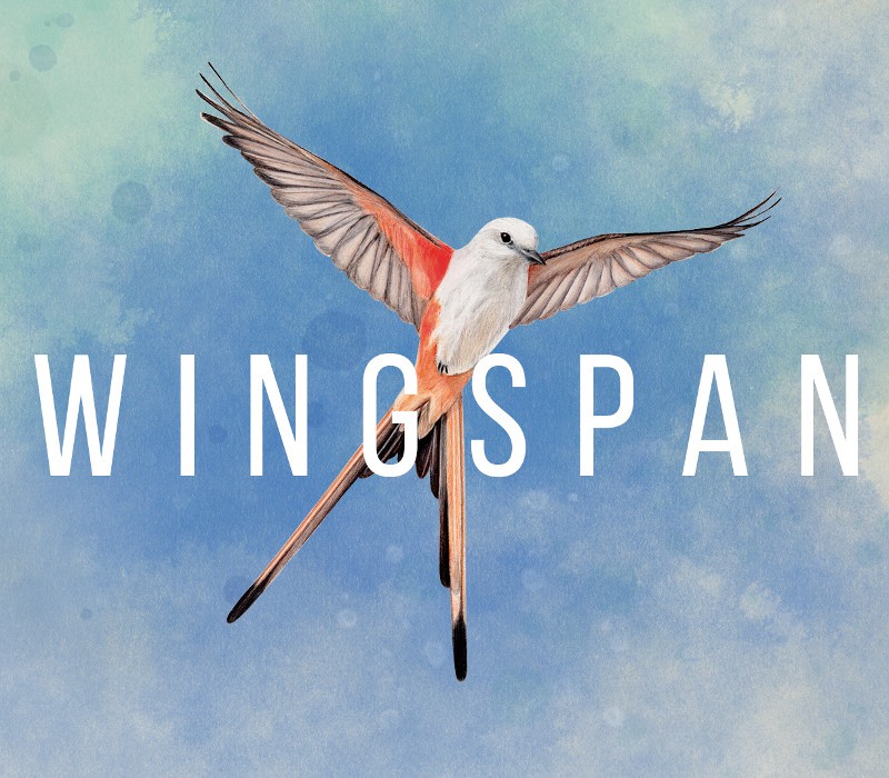 wingspan8