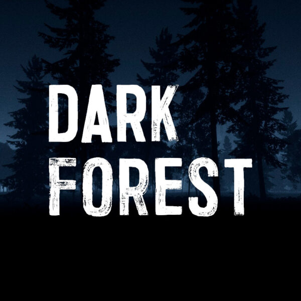 Dark Forest: The Horror PC Steam CD Key