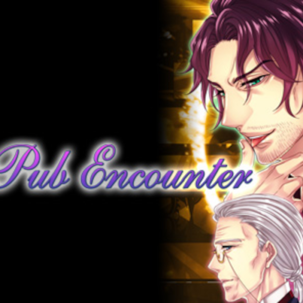 Pub Encounter PC Steam CD Key