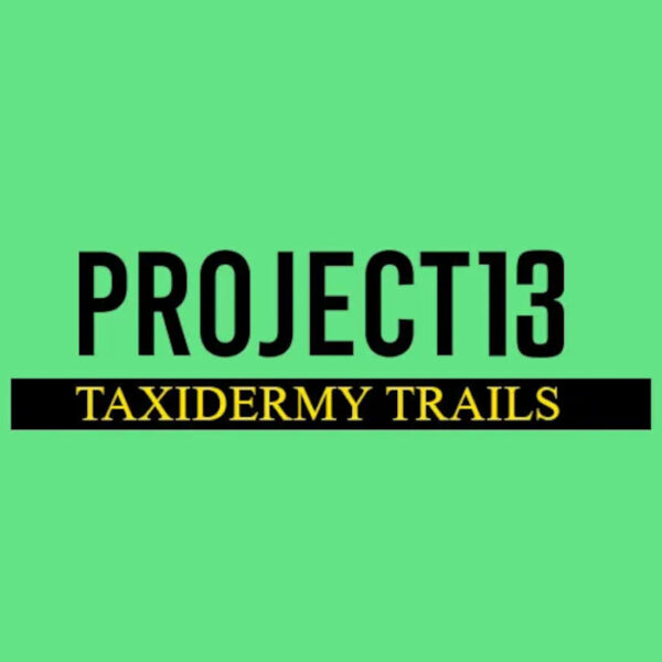 Project 13: Taxidermy Trails EU PS5 CD Key